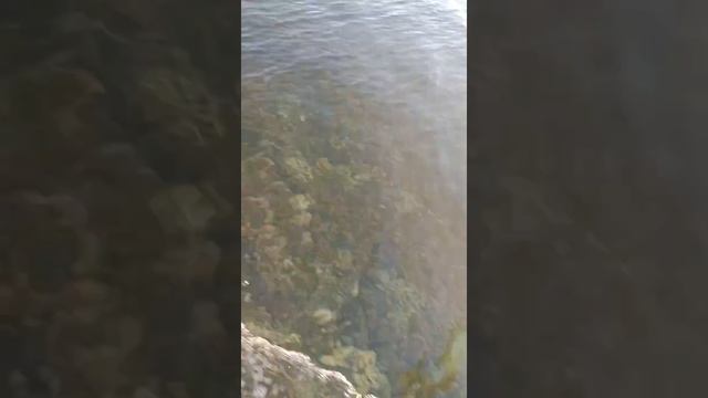 Bangkwang 2 смотреть онлайн