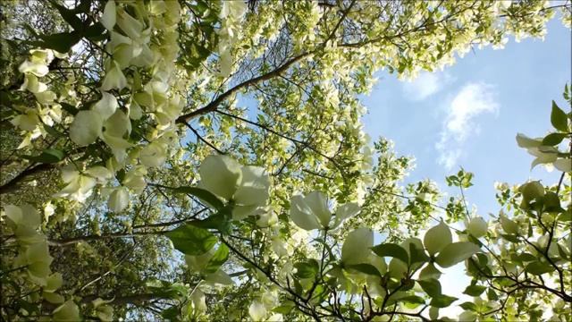 Истинное учение Иешуа (Иисуса Христа). Бог есть Любовь.