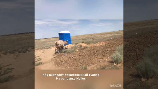 Поездка РФ - Узбекистан на машине, через Казахстан. смотреть онлайн