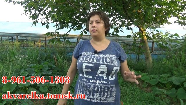 Уроки шоу мыльных пузырей Как начать свое дело Плюсы и Минусы смотреть онлайн