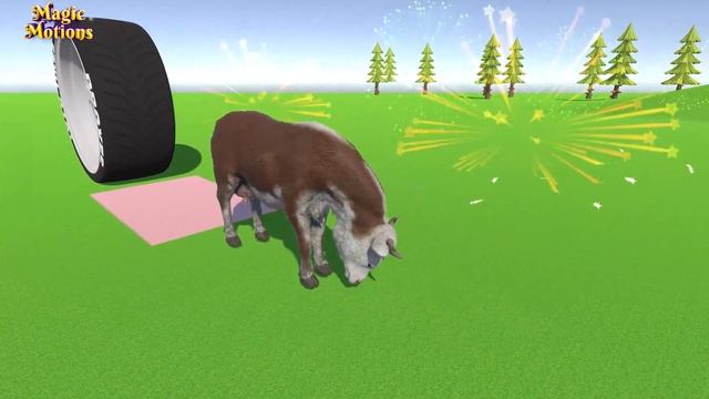 Cow Running Video Cow Animation Video Cow Cartoon Magic Motions Presents