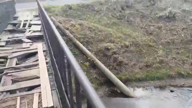 В Красноярске в реке Теплая появились масляные пятна смотреть онлайн