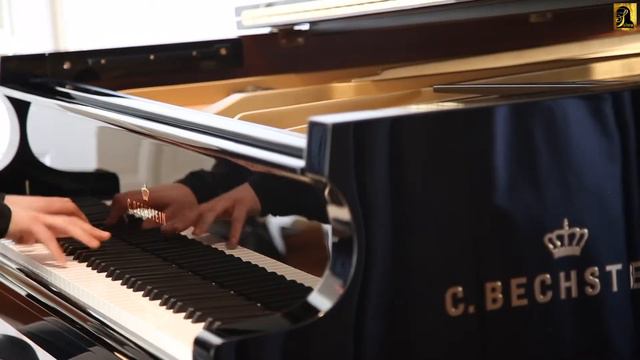 Mondscheinsonate L v Beethoven Op 27 Nr 2 đàn piano C Bechstein Academy 228 смотреть онлайн
