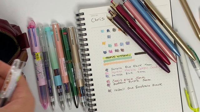 What's in My Pandemic Pen Case / Planner Kit смотреть онлайн