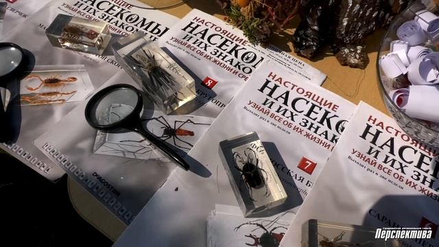 День МЧС отметили в Гродно вместе с фестивалем воздушных змеев смотреть онлайн