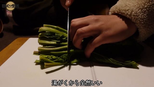 これが私たちの理想のキャンプ。軽自動車に2人暮らし。 смотреть онлайн