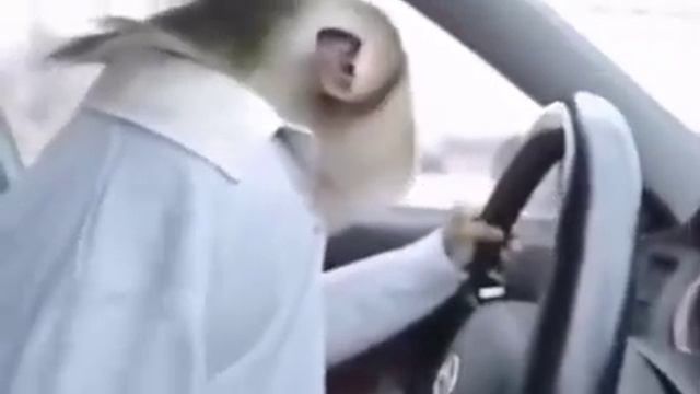 флекс обезьяны