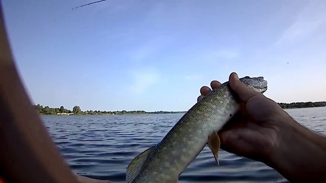 Рузское водохранилище. Рыбалка на джиг. Рыбалка с лодки. Рыбалка закончилась не очень благополучно? смотреть онлайн