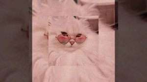 Егор Крид-Будильник SPEED UP