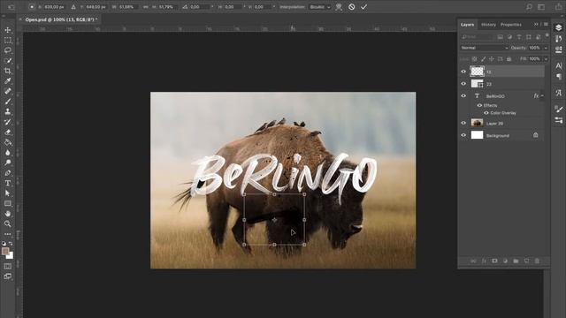 How to use Berlingo SVG font смотреть онлайн