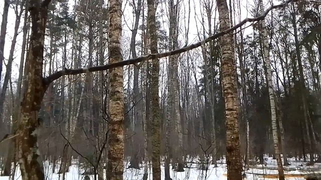 Наша делянка 2024 конец зимы смотреть онлайн