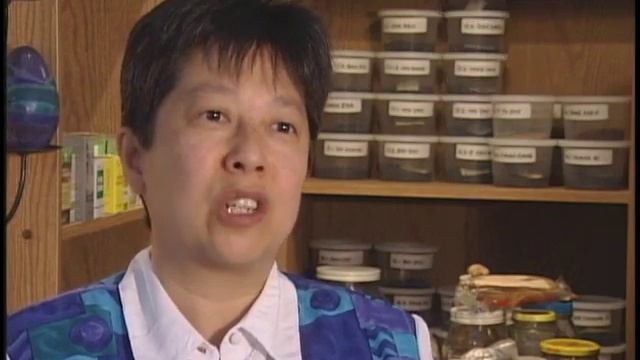 Herbs For Men's Health