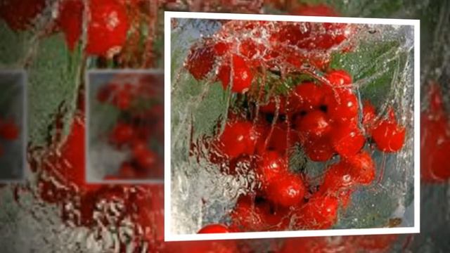 КАЛИНА КРАСНАЯ ! ! ! смотреть онлайн