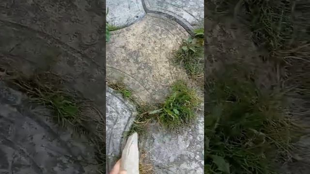 Как почистить траву между плитками. Камушком смотреть онлайн