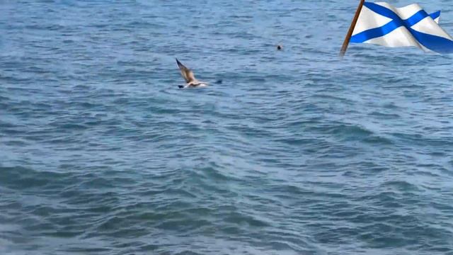 С Днём ВМФ России! Виват морякам!