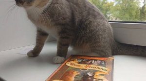 Самые интересные книги "Коты-Воители"