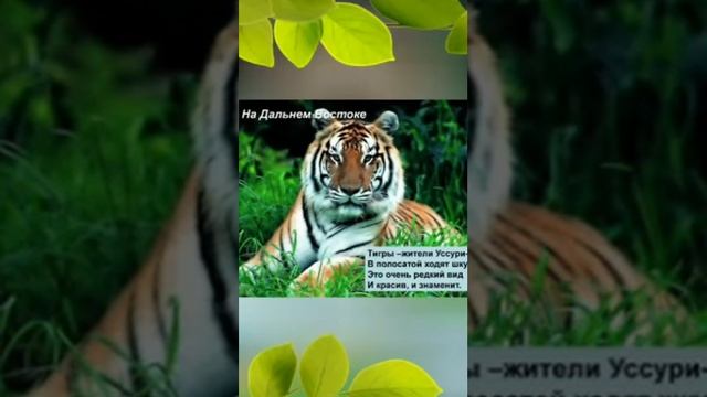 Россия - Родина моя! смотреть онлайн