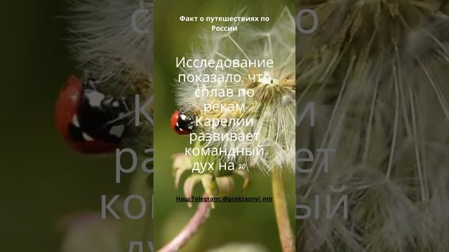 Факт о путешествиях по России смотреть онлайн