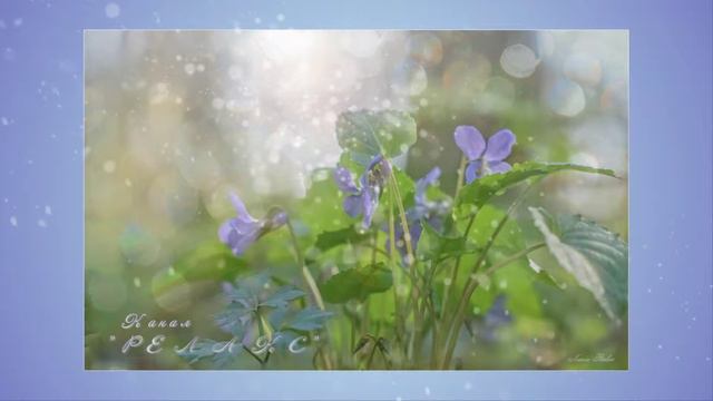 Музыка для Души "Мелодичное фортепиано". смотреть онлайн