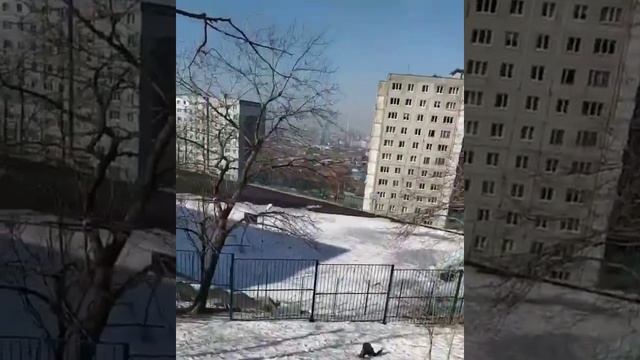 Владивостоке где покататся ищем. смотреть онлайн