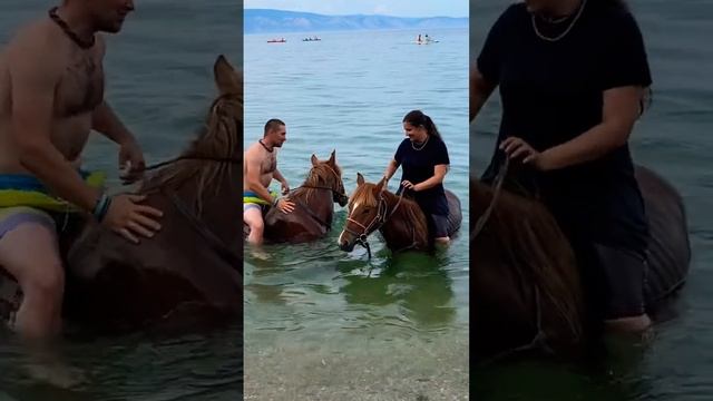 Купание с монгольскими лошадьми в священном озере Байкал, остров Ольхон, мыс Бурхан смотреть онлайн