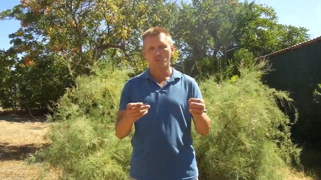Ловля саргана на мух смотреть онлайн