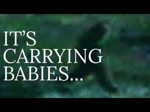 LIGHTNING FAST BIGFOOT CAUGHT ON CAMERA