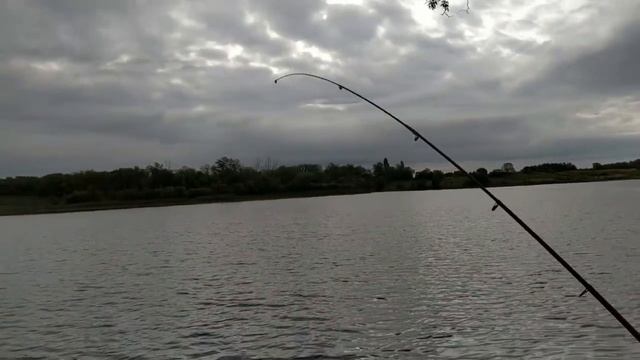 Рыбалка, пруд Московский, такого мощного клева подлещика еще не встречали (Воронеж 2019) смотреть онлайн