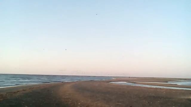 Біосферний заповідник,дельта Дунай смотреть онлайн