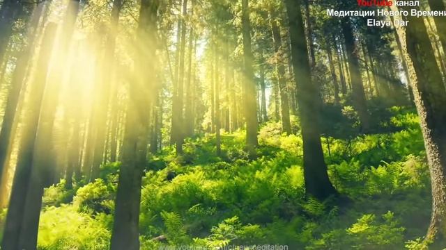 УТРЕННЯЯ ПРАКТИКА БЛАГОДАРНОСТИ смотреть онлайн