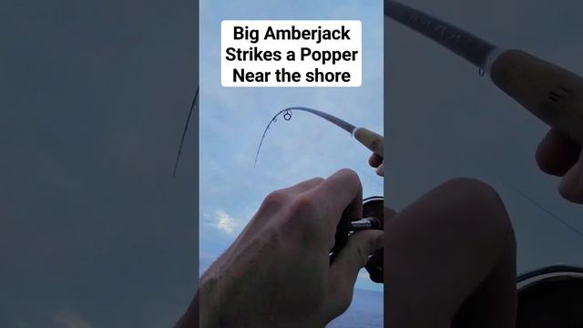 Amberjack Attack! #shorejigging #popping #amberjack #fishing смотреть онлайн