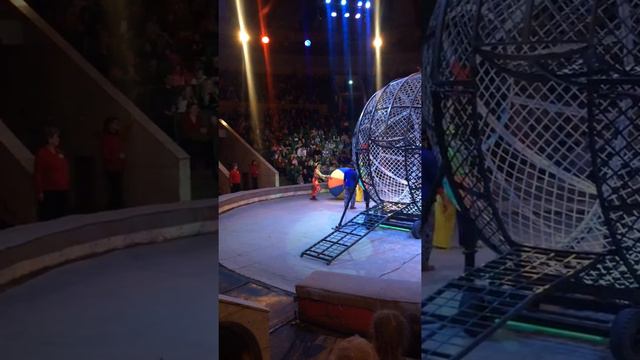 Цирк выступление клоунов с мячом смотреть онлайн