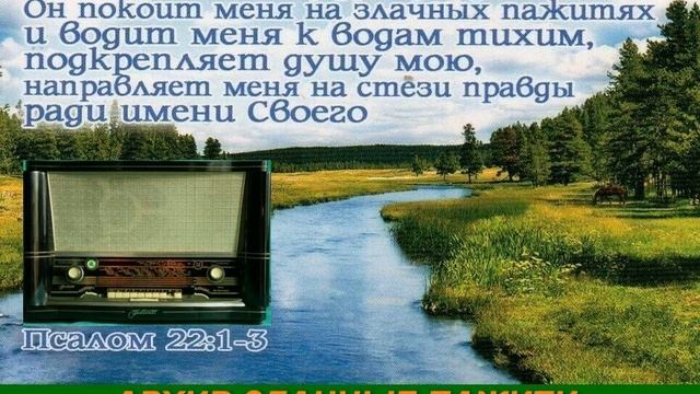 Архив Злачные пажити 064 Рудык Андрей Федорович смотреть онлайн