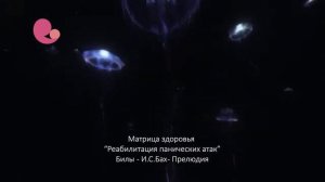 Матрица Гаряева П  П  Реабилитация панических атак   матрица здоровья