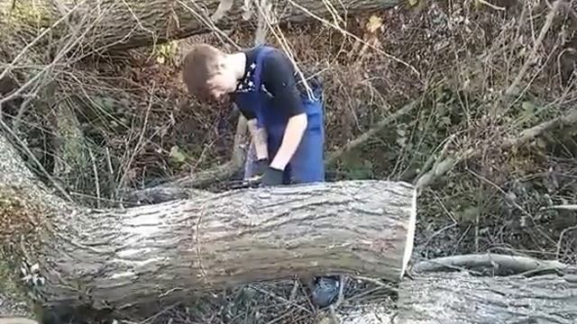 Stihl Ms 181 Test