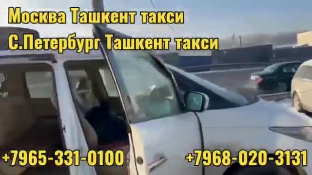 Такси Москва Ташкент +7903.329.8483 Россия-Узбекистан #мигранты #санктпетербург #сегодня смотреть онлайн