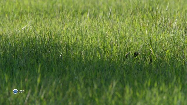 Весна смотреть онлайн