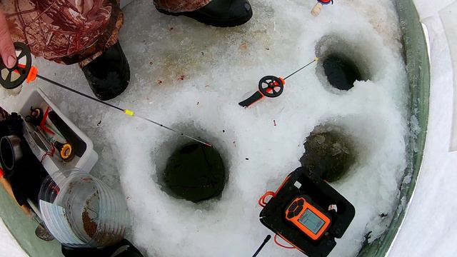 Трофейный лещ 2022 смотреть онлайн