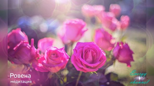 Путешествие прощения - Ровена - Второй круг- Медитация 3 смотреть онлайн