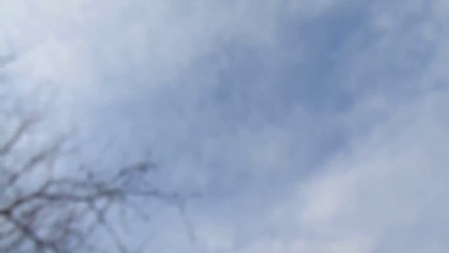 Голуби. В гостях у Дедушки. 14.04.19г. смотреть онлайн