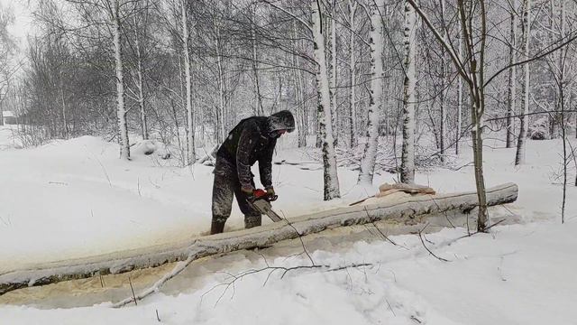 Как заготовить деловую доску своими руками быстро и легко. Заготовка древесины для столярки. смотреть онлайн