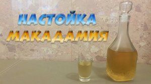 Настойка на скорлупе ореха Макадамия. Дегустация вкуснейшей настойки.