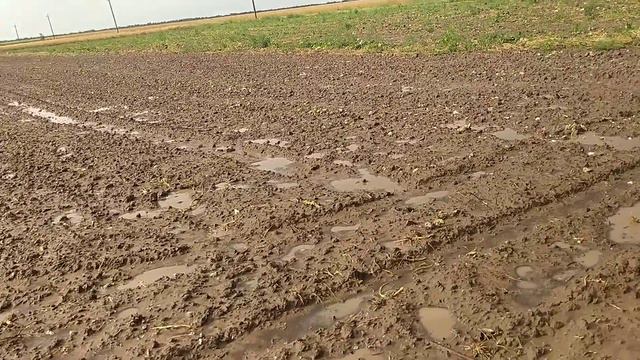 Слова ливни наделали чудесов в Херсонской области😟😟!! смотреть онлайн