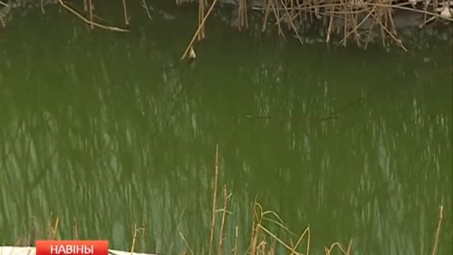 Зелёная вода смотреть онлайн