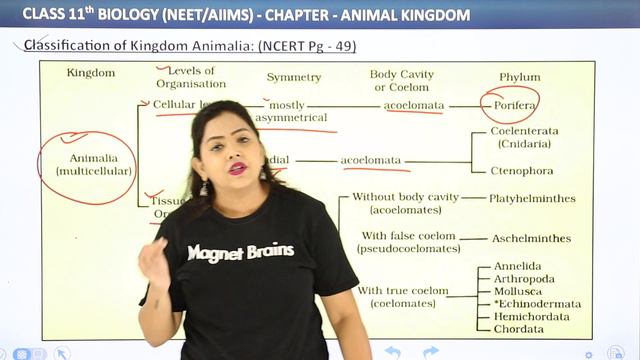 Classification of Kingdom Animalia - Animal Kingdom | Class 11 Biology Chapter 4 | NCERT/CBSE смотреть онлайн