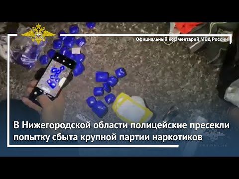 Ирина Волк: В Нижегородской области полицейские пресекли попытку сбыта крупной партии наркотиков смотреть онлайн