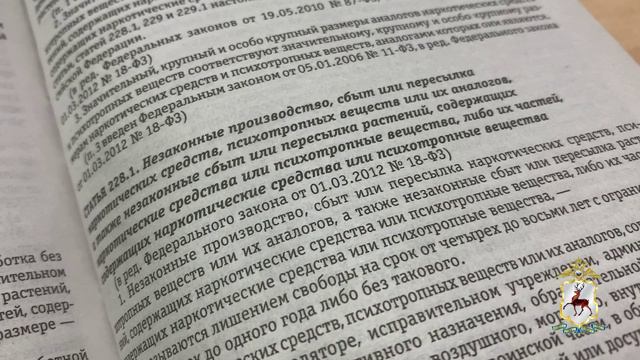 90 свертков с запрещенным «зельем» изъяли нижегородские наркополицейские у жителя Борского района. смотреть онлайн