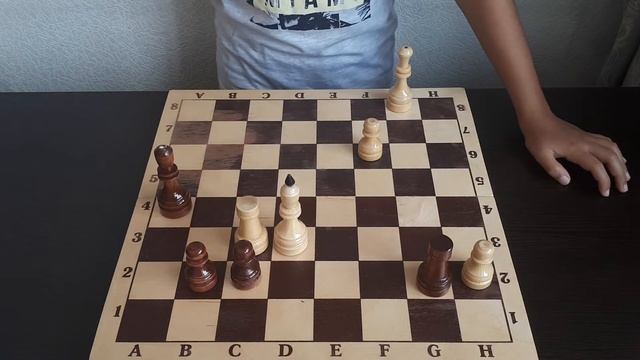 Шахматы. ДУЭЛЬ КОНЕЙ И ФЕРЗЯ.Обучение шахматам смотреть онлайн