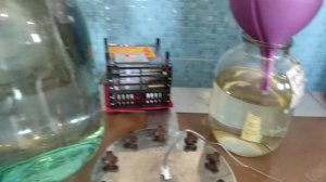 Тестирование. Ректификационная колонна 3 дюйма "Южный поток"