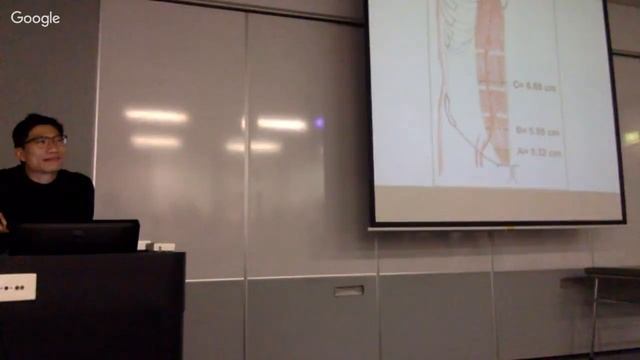 SSSM St Vincent's Anatomy Lecture Series. Lecture 1: Anterior Abdominal Wall смотреть онлайн